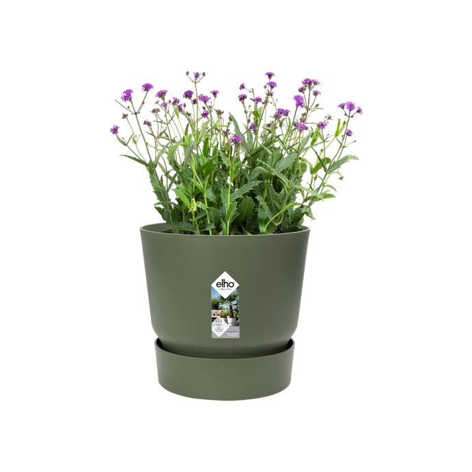 greenville round 20cm leaf green